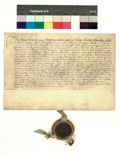 http://images.icar-us.eu/iiif/2/img%2FDE-HStAMa%2FUrk80%2FUrk. 80 Nr. 510 Vorderseite (1607 Juni 18).jpg/full/120,/0/default.jpg
